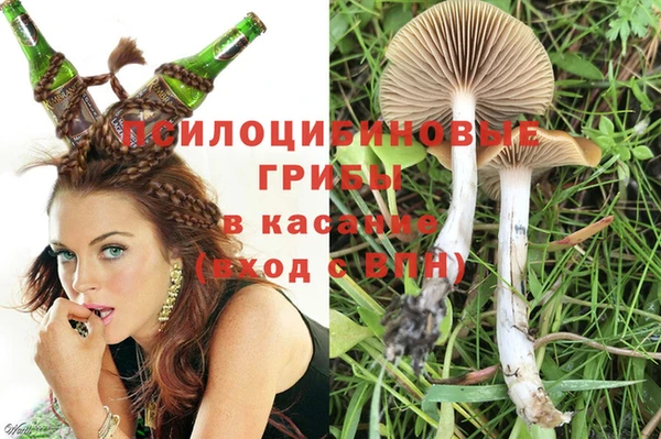 трава Алзамай