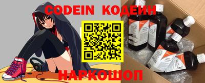 apvp Кингисепп