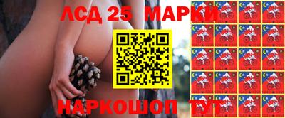 apvp Кингисепп