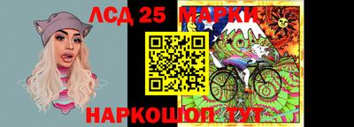 apvp Кингисепп