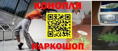 apvp Кингисепп