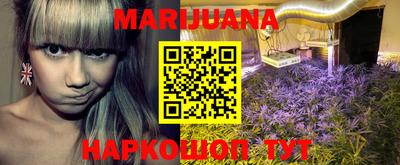 apvp Кингисепп