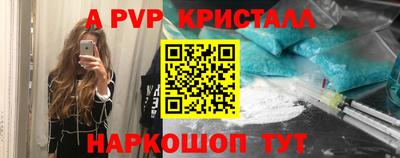 apvp Кингисепп