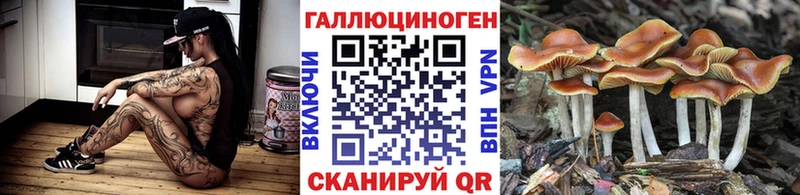 Галлюциногенные грибы GOLDEN TEACHER Луга