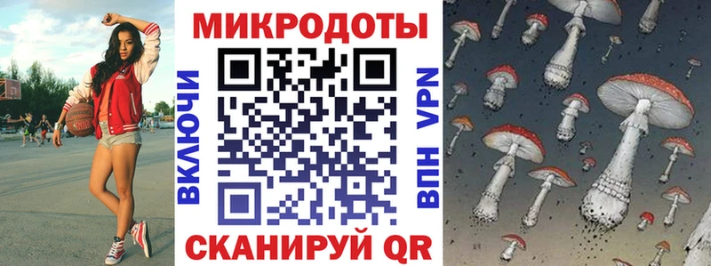 Псилоцибиновые грибы Cubensis  Луга 