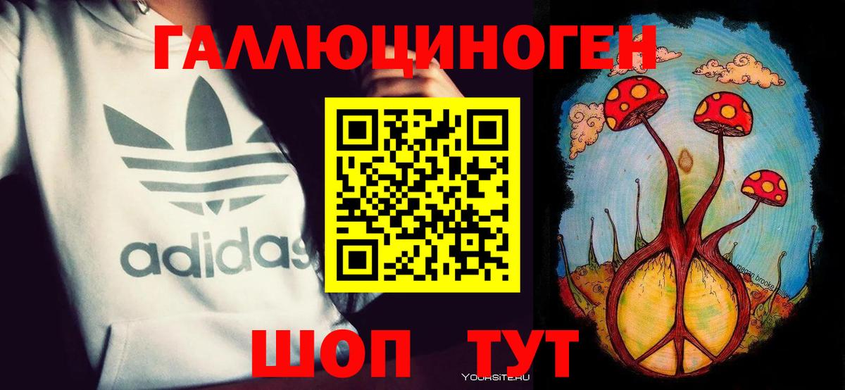Псилоцибиновые грибы Cubensis Луга